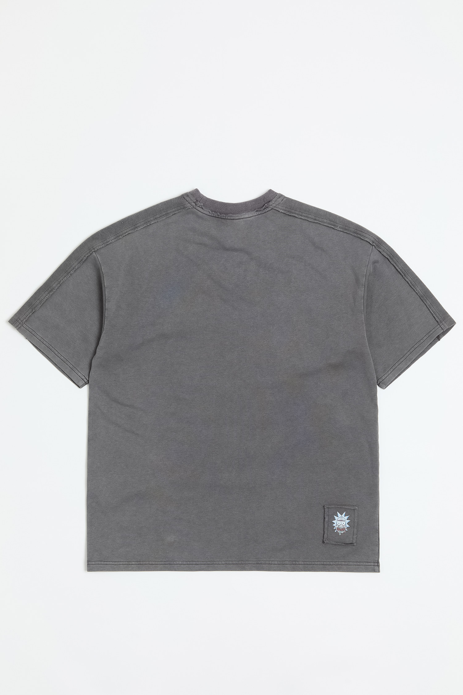 Rick and Morty 水洗不收邊短袖上衣