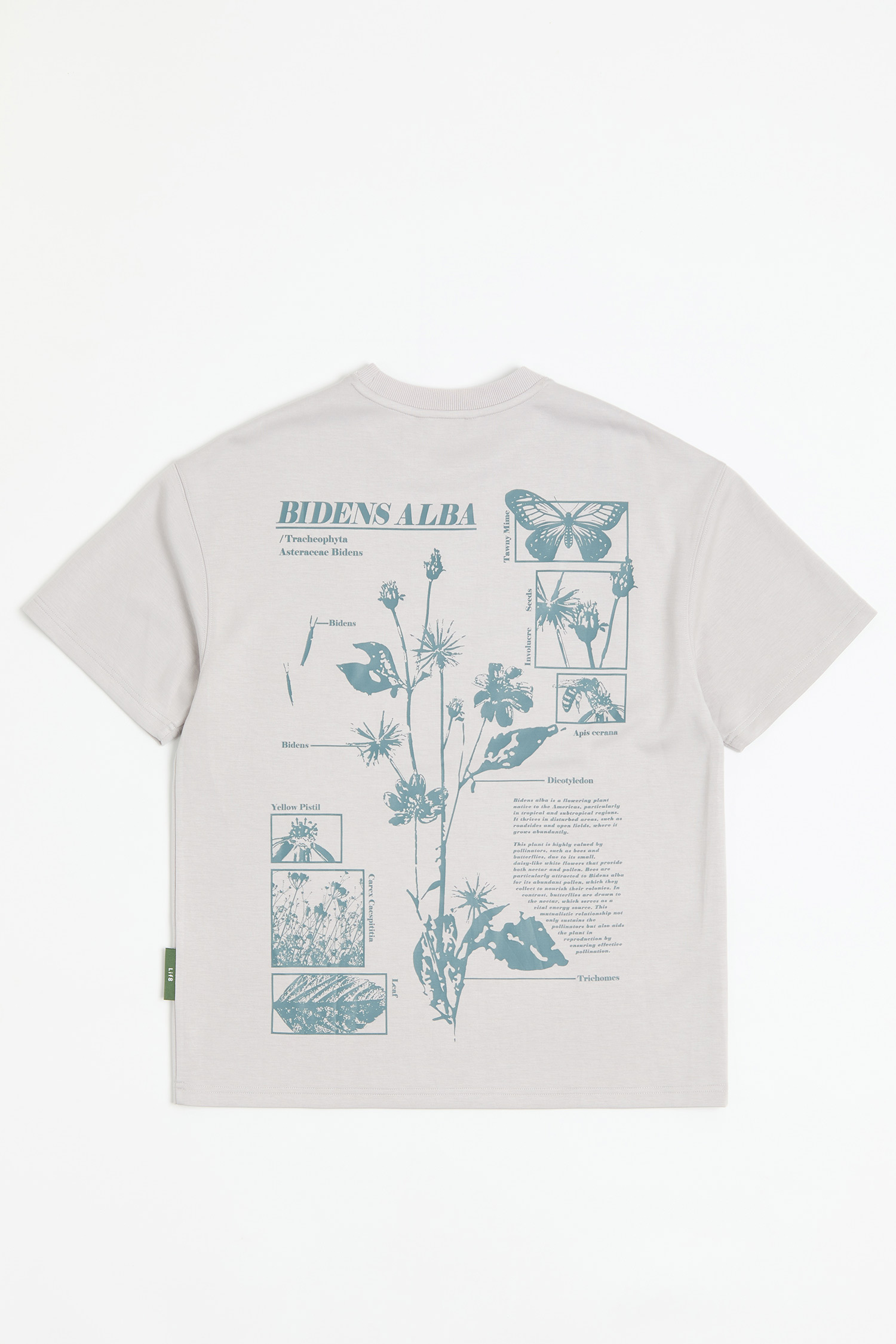 白花咸豐草 太空棉短袖上衣