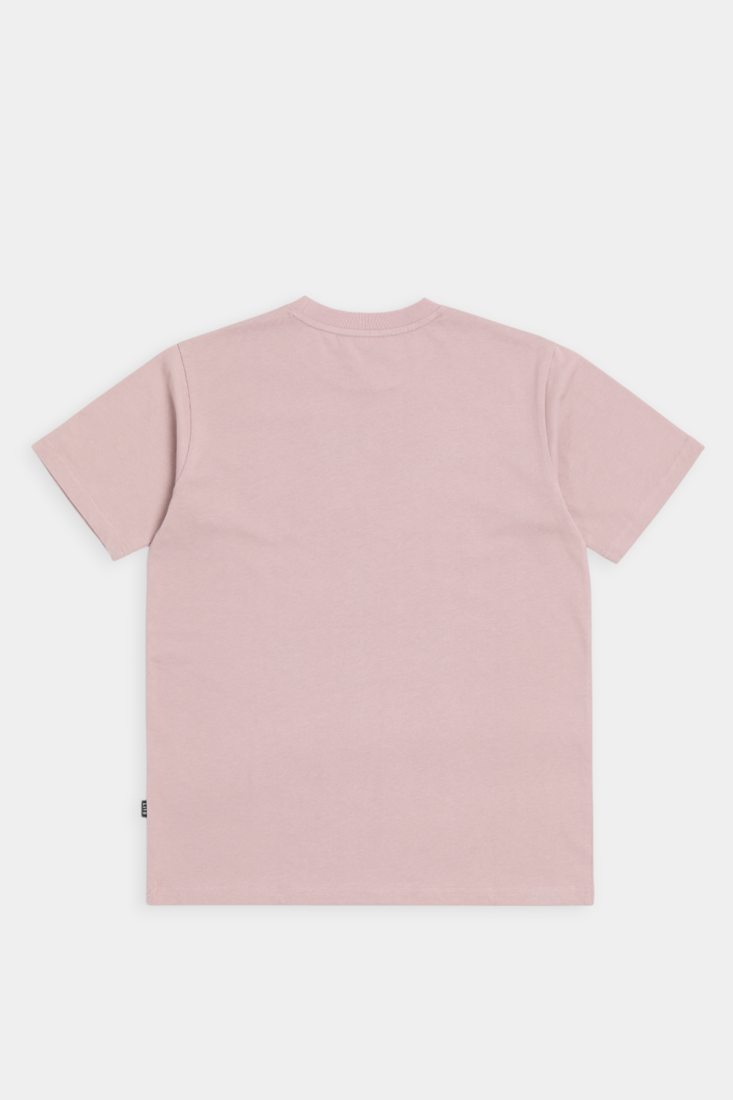 經典純棉 素色短袖上衣