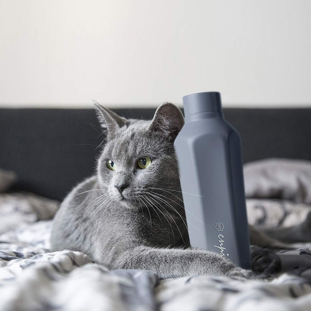 boii 本因保溫杯 450ML